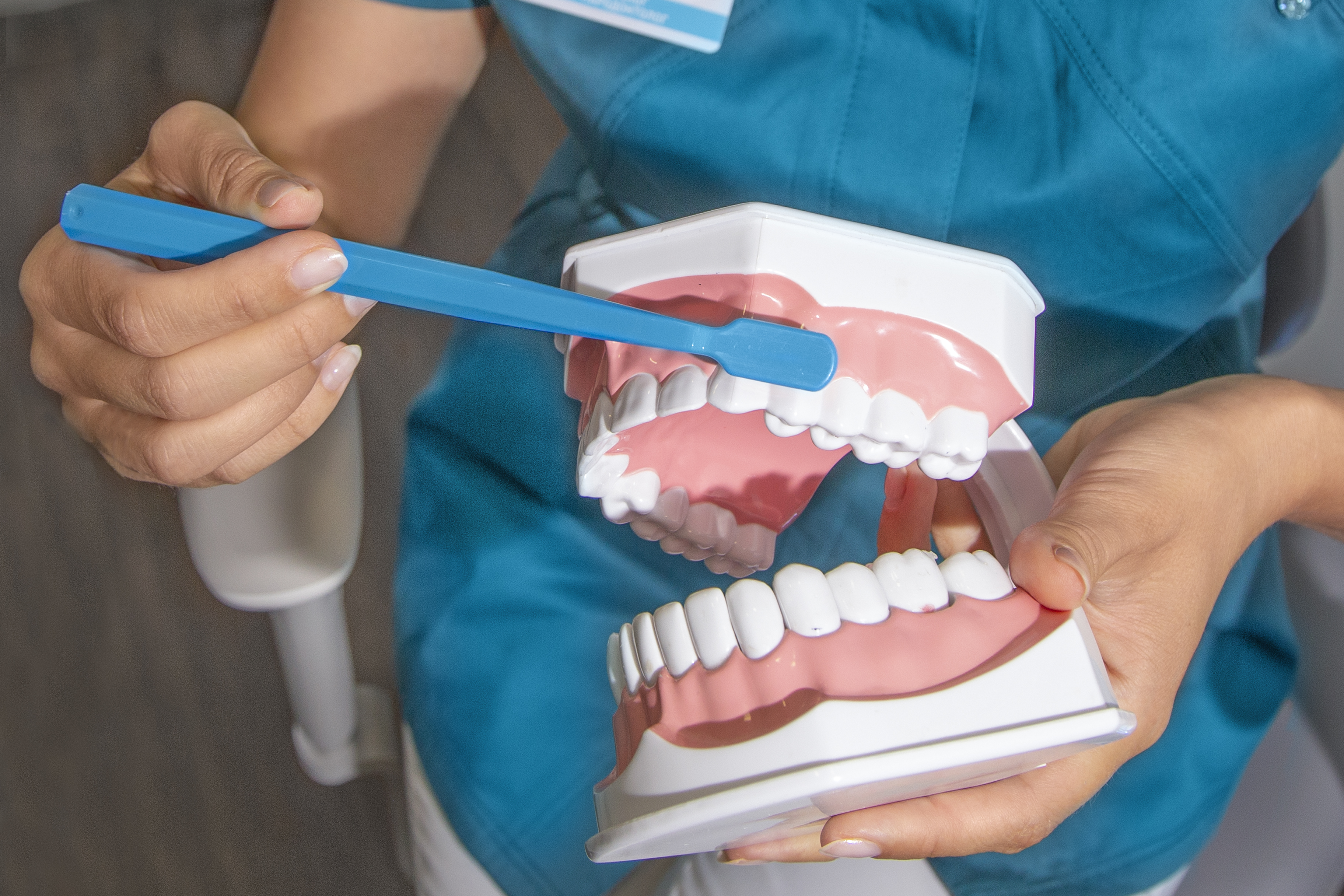 Изображение Атрибьют Dental